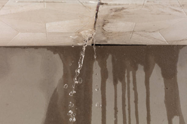 Professional Water Extraction technician working in Ray, OH